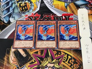 ZW-Phoenix crossbow REDU 1 rare, set of 3 Tera.