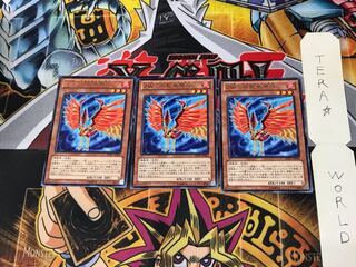 ZW-Phoenix crossbow REDU 5 rare, set of 3 Tera.