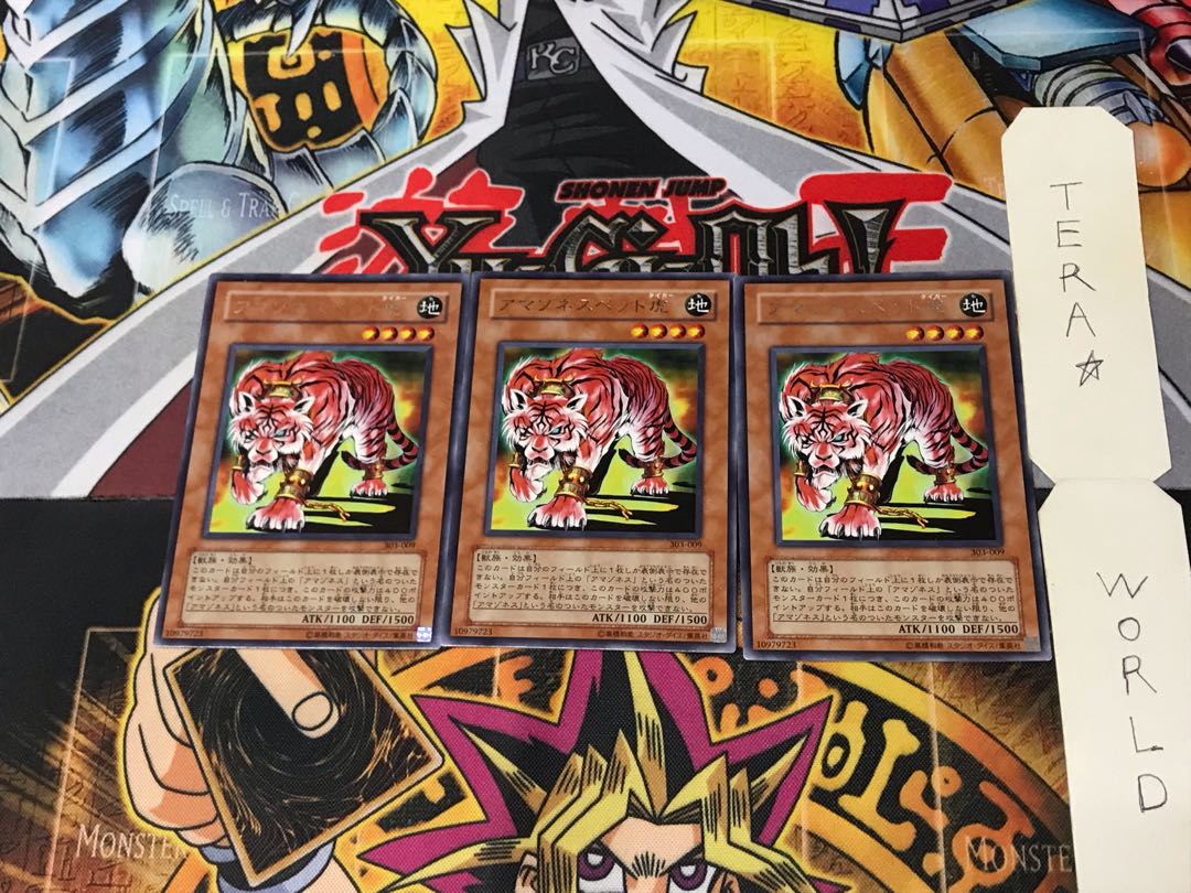 Amazoness Tiger 303 1 Rare Set of 3 Tera.