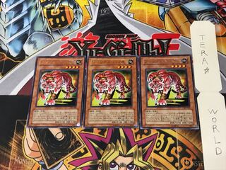 Amazoness Tiger 303 2 Rare Set of 3 Tera.