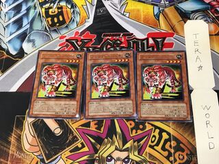 Amazoness Tiger 303 3 Rare Set of 3 Tera.