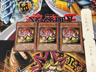 Amazoness Tiger 303 5 Rare Set of 3 Tera.