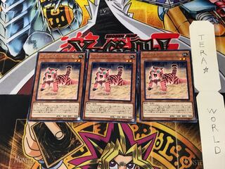 アマゾネスペット仔虎 DP18 1 レア 3枚セット てら