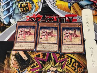 アマゾネスペット仔虎 DP18 2 レア 3枚セット てら