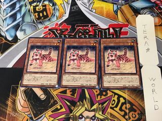 アマゾネスペット仔虎 DP18 3 レア 3枚セット てら