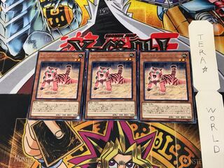 アマゾネスペット仔虎 DP18 4 レア 3枚セット てら