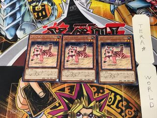 アマゾネスペット仔虎 DP18 5 レア 3枚セット てら