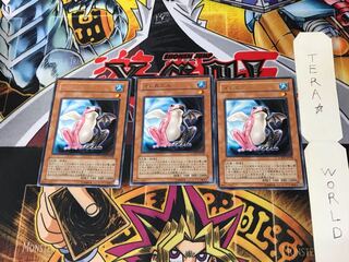 Substitoad LODT 1 rare, set of 3 Tera.