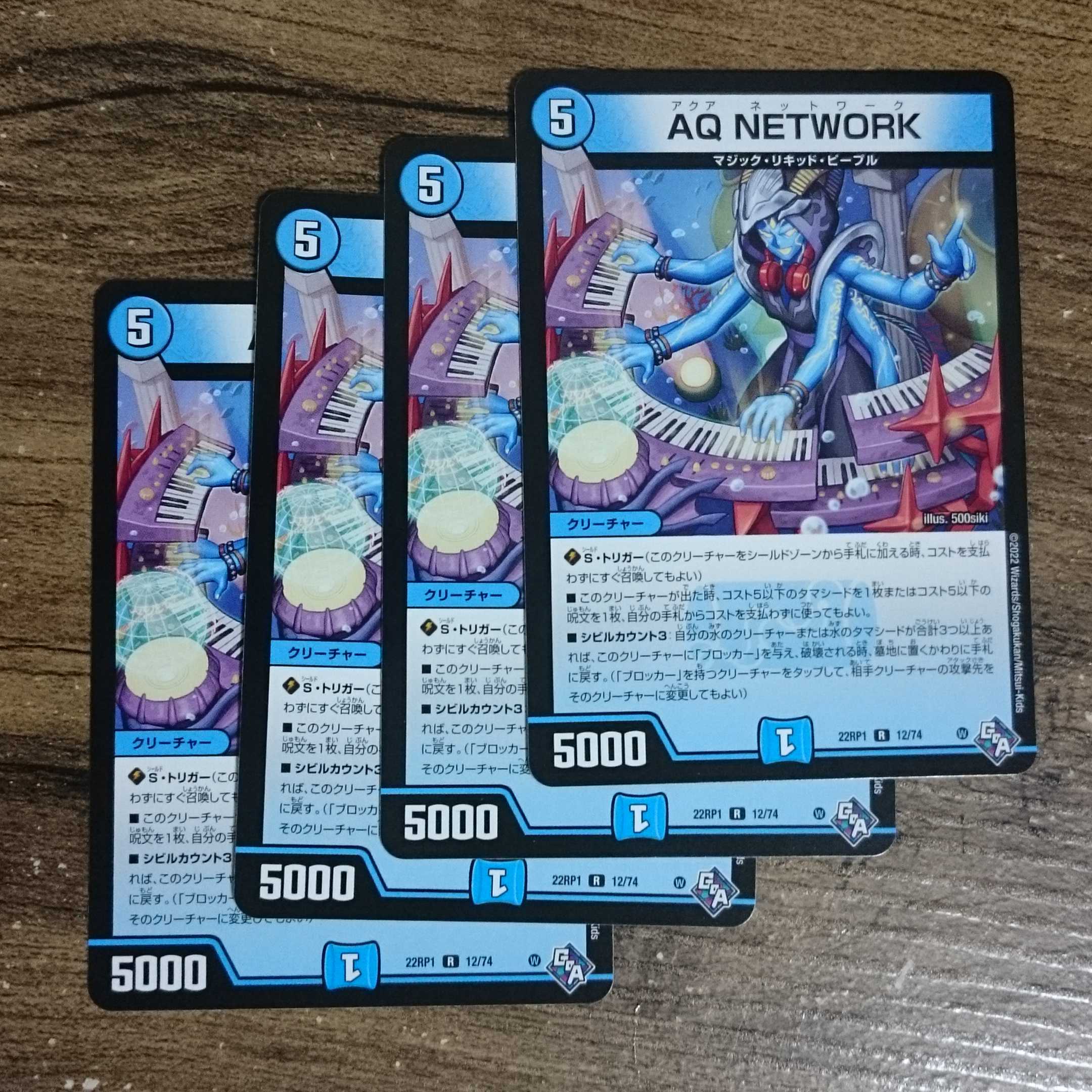 AQ NETWORK R 12/74 DM22-RP1