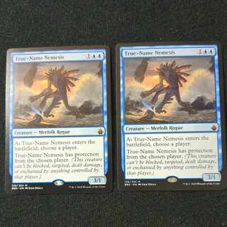 True-Name Nemesis [BBD][English] Set of 2