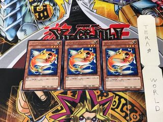 Wattberyx STOR 1 Rare set of 3 Tera.