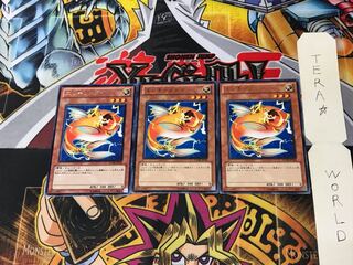 Wattberyx STOR 2 rare, set of 3 Tera.