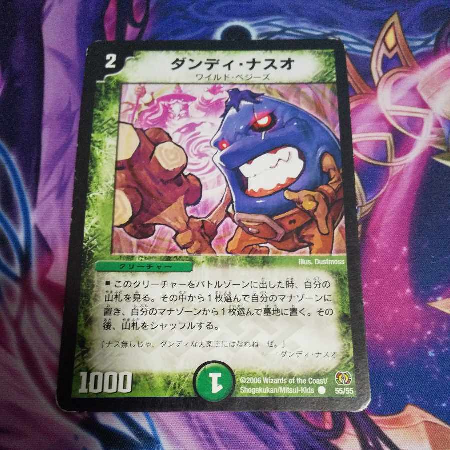 Dandy Naso C 55/55 1枚