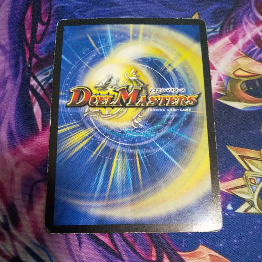 Dandy Naso C 55/55 1枚