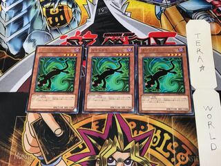 カゲトカゲ PHSW 3 レア 3枚セット てら