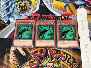 カゲトカゲ PHSW 4 レア 3枚セット てら