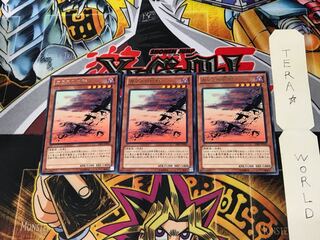 カラスの巨群 SHSP 1 レア 3枚セット てら