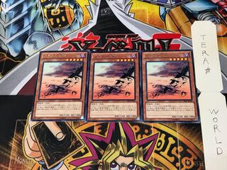 カラスの巨群 SHSP 2 レア 3枚セット てら