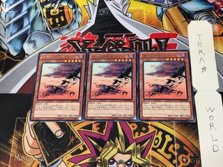 カラスの巨群 SHSP 4 レア 3枚セット てら