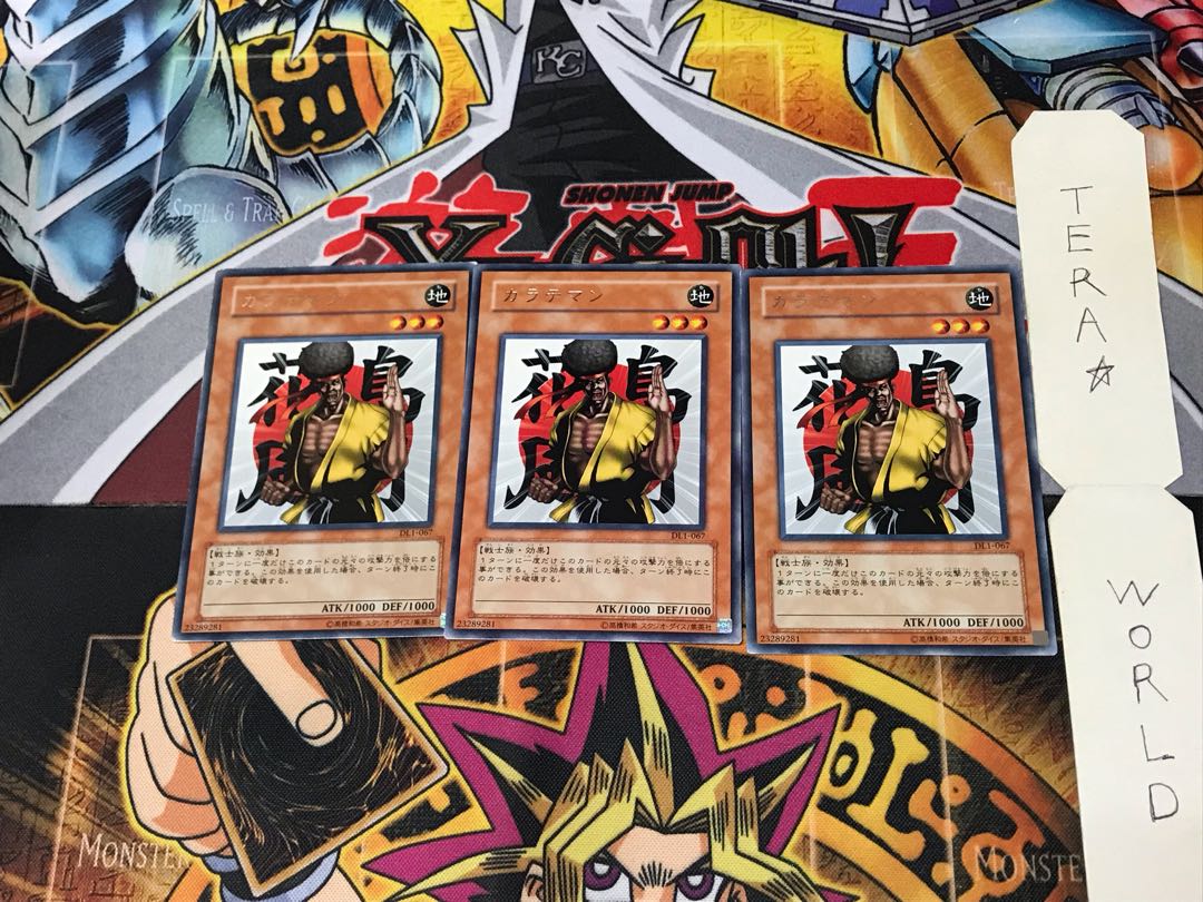 Karate Man DL1 1 rare, set of 3 Tera.