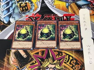 Kuribandit CPL1 2 Rare Set of 3 Tera