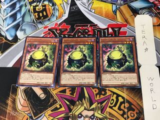 Kuribandit CPL1 5 Rare Set of 3 Tera