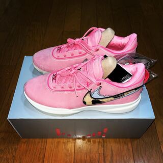 ナイキ レブロン 20 EP "マルチカラー" DQ3827-900 29cm