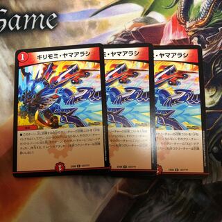 キリモミヤマアラシ 3枚