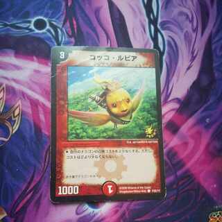 Cocco Lupia C P35/Y7