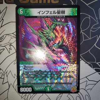 Infelix star tree (species of sedge, Infelix infelix)