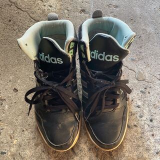 スニーカー 24.5cm