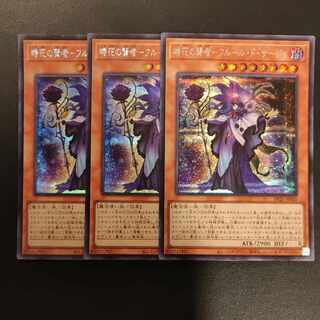 Sage of Time Flower - Fleur de Sage Secret Rare JP020