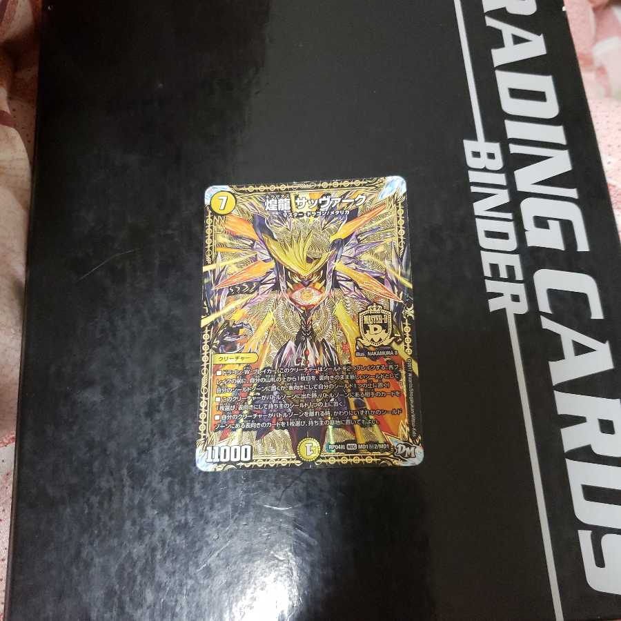 煌龍 サッヴァーク