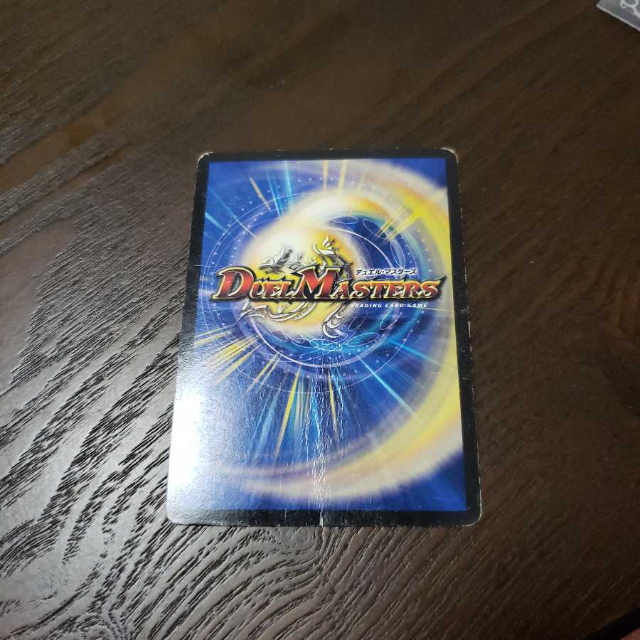 煌龍 サッヴァーク