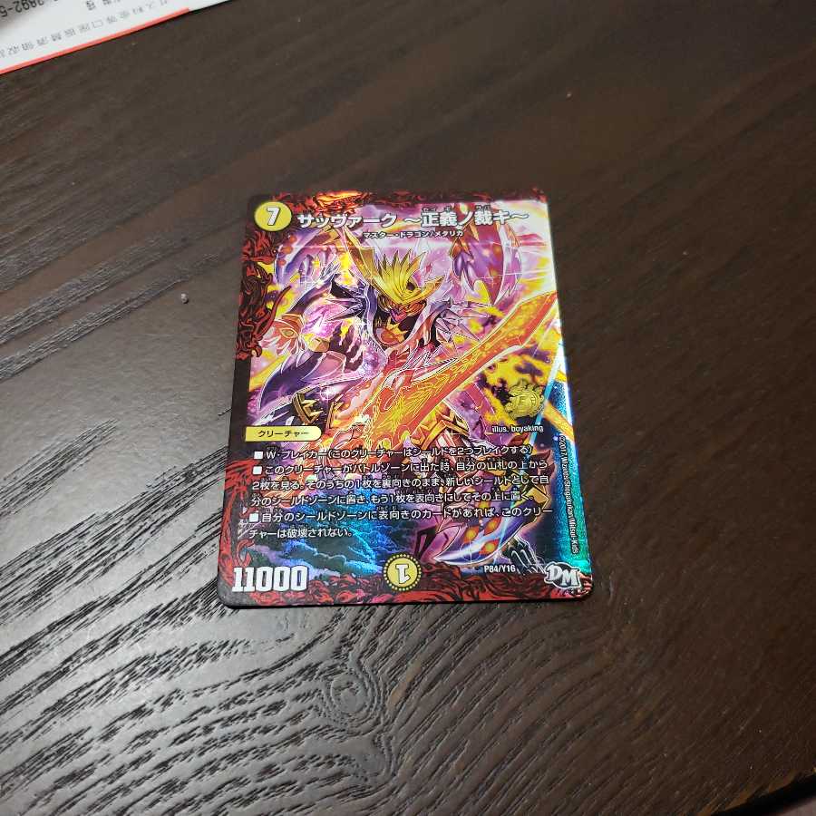 煌龍 サッヴァーク