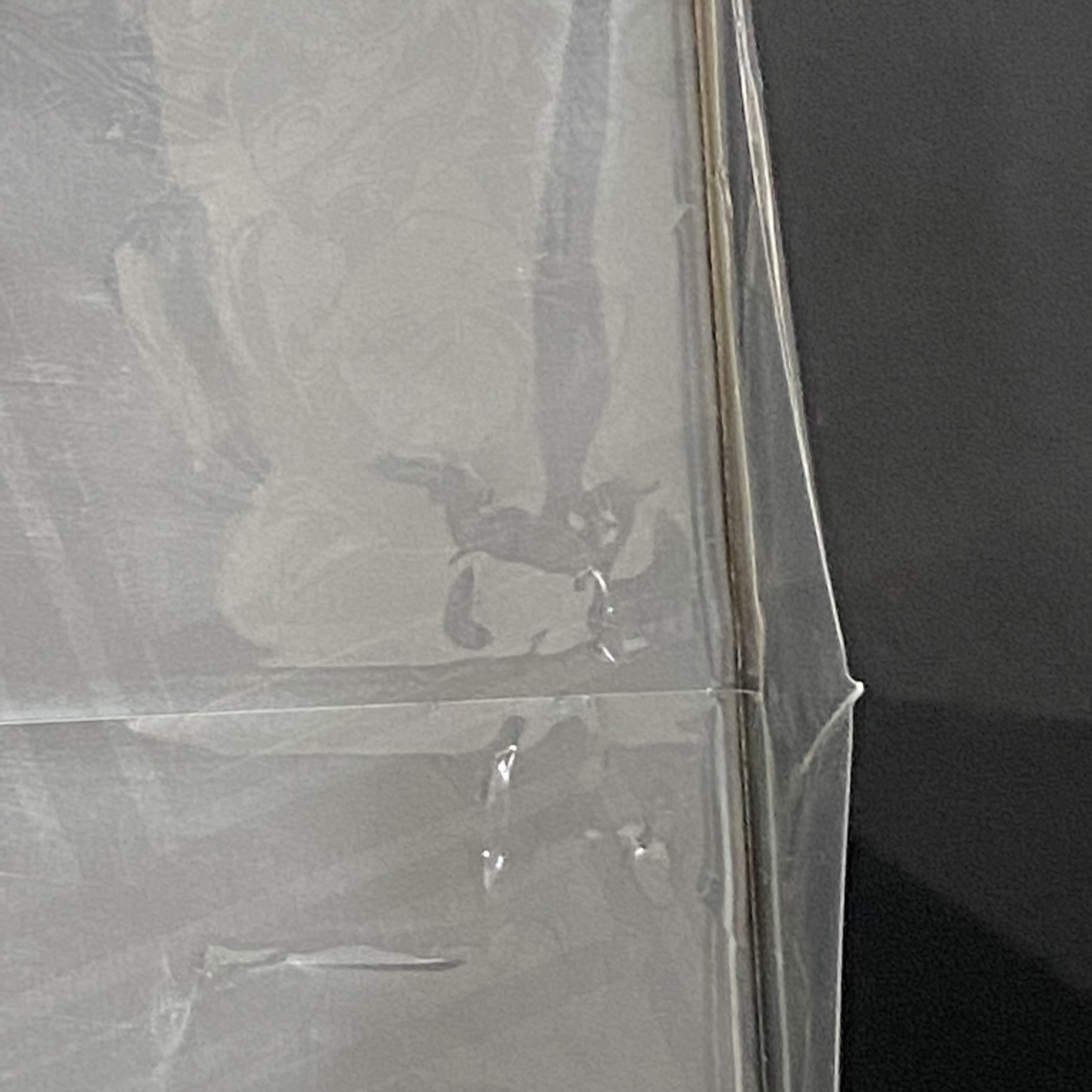 プレシャスコレクターボックス 未開封