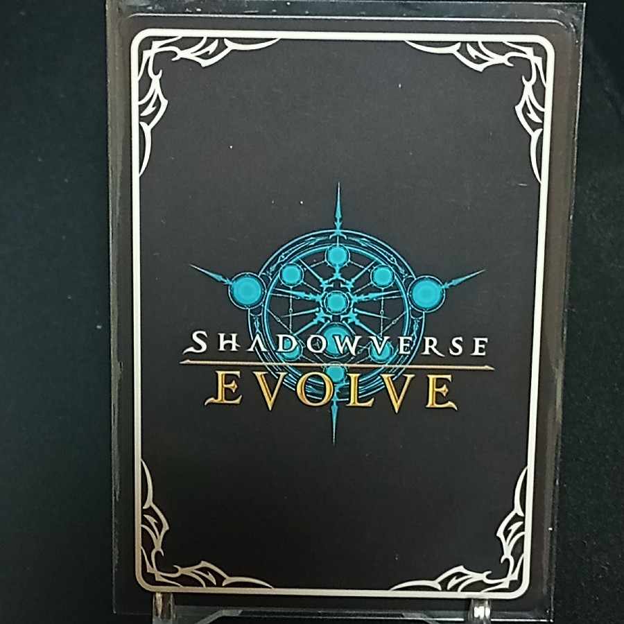 SR Premium Zenno Rob Roy