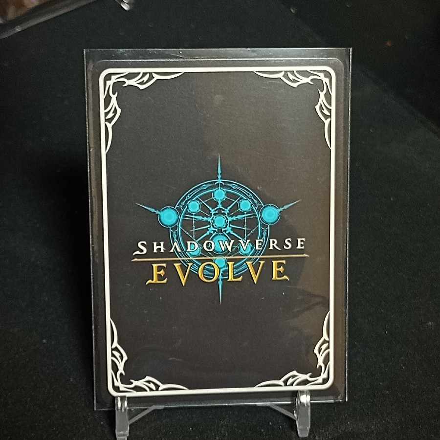 Together we are on the same path! Kirilifein Aoi SR Premium