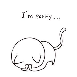 【大空　大駕様専用】