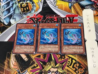 Codarus ABPF 2 rare, set of 3 Tera.