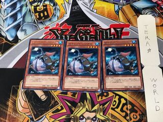 サイレント・アングラー DP15 5 レア 3枚セット てら