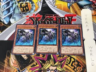 サブテラーマリス・エルガウスト EP17 3 レア 3枚セット てら