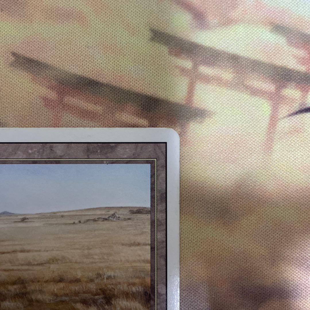 Savannah plateau set Exclusive listing