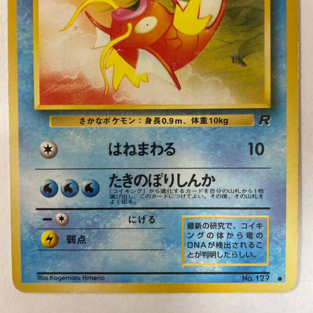 【旧裏】［セット］わるいギャラドス