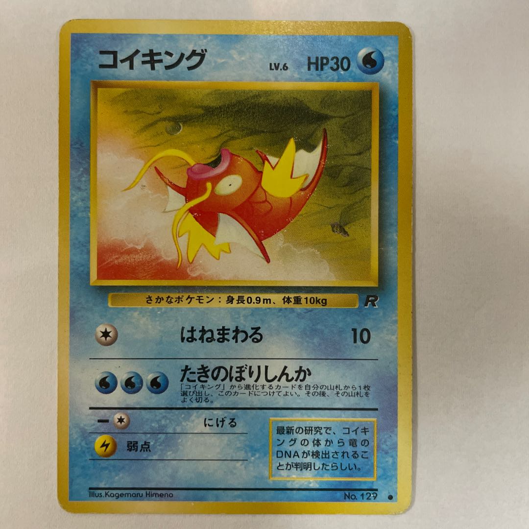 【旧裏】［セット］わるいギャラドス