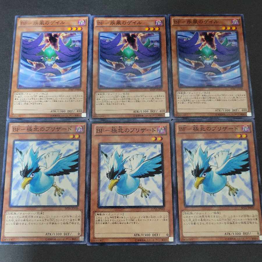 Gale of BFGust of Wind Blizzard of BF Far North