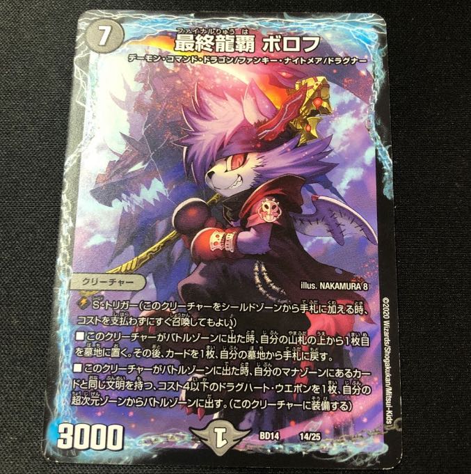 Final Dragon Heights Borov 14/25