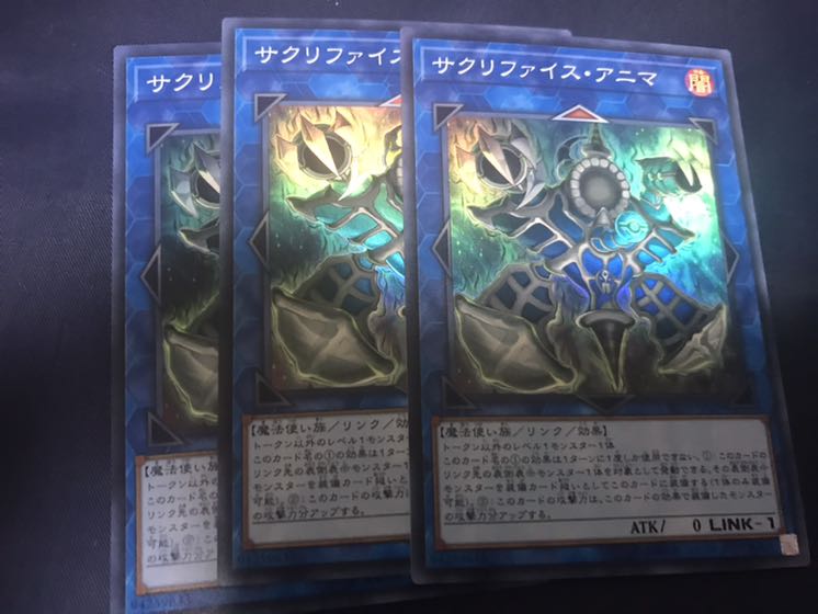 サクリファイスアニマ