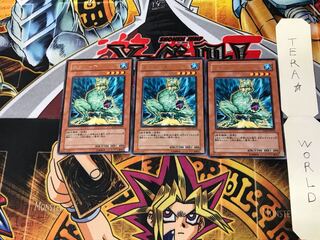 スクリーチ EXP1 2 レア 3枚セット てら