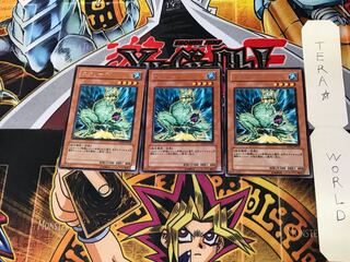 スクリーチ EXP1 4 レア 3枚セット てら